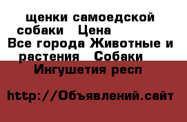 щенки самоедской собаки › Цена ­ 25 000 - Все города Животные и растения » Собаки   . Ингушетия респ.